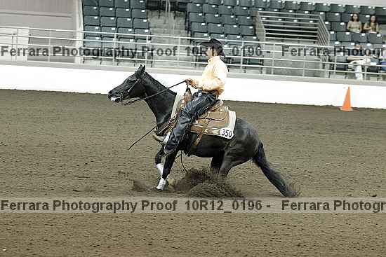 Proof 10r12_0196