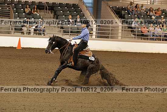 Proof 10r12_0206