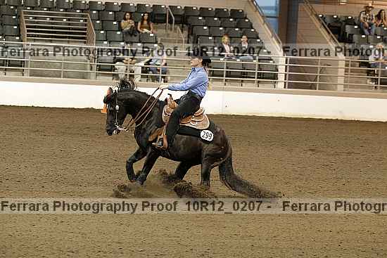 Proof 10r12_0207