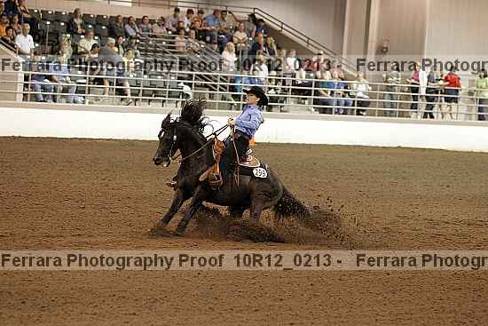 Proof 10r12_0213