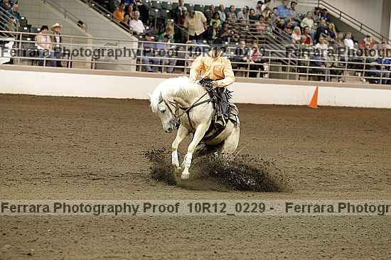 Proof 10r12_0229