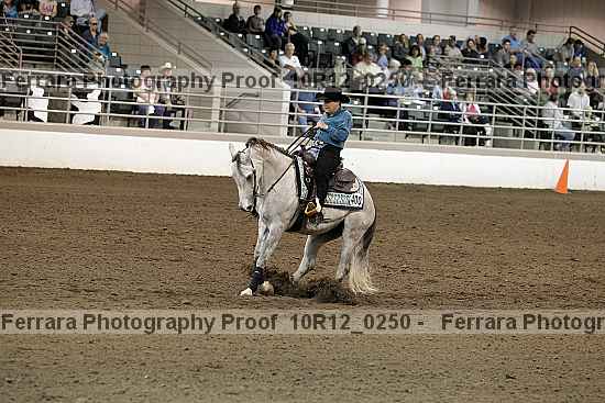 Proof 10r12_0250