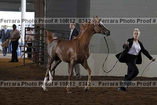 Proof 10r12_8342