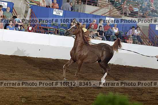 Proof 10r12_8345
