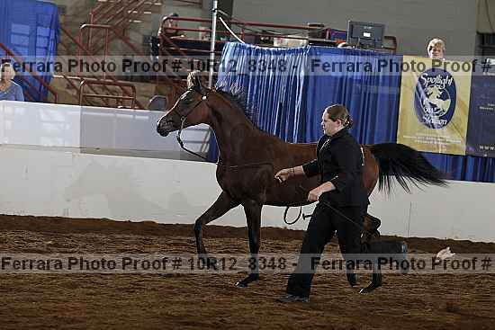 Proof 10r12_8348
