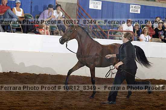 Proof 10r12_8349