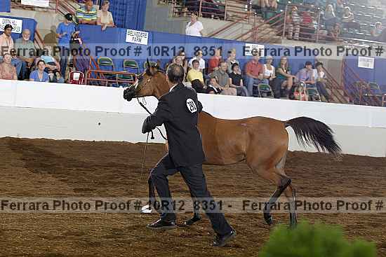 Proof 10r12_8351