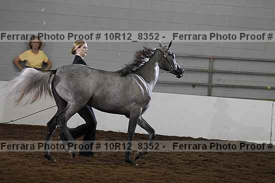 Proof 10r12_8352
