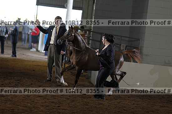Proof 10r12_8355