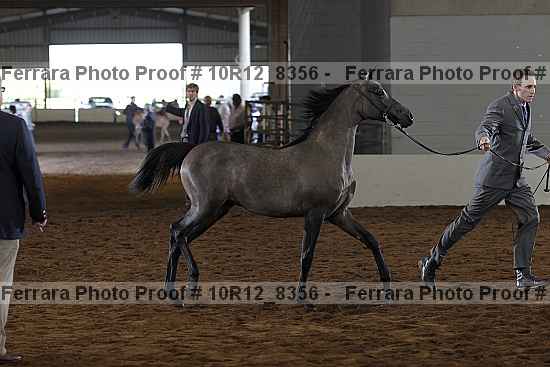 Proof 10r12_8356