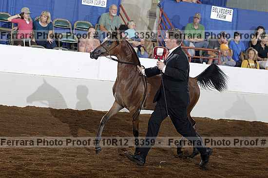 Proof 10r12_8359