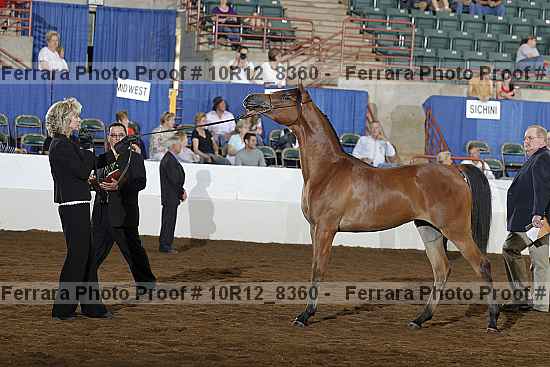 Proof 10r12_8360