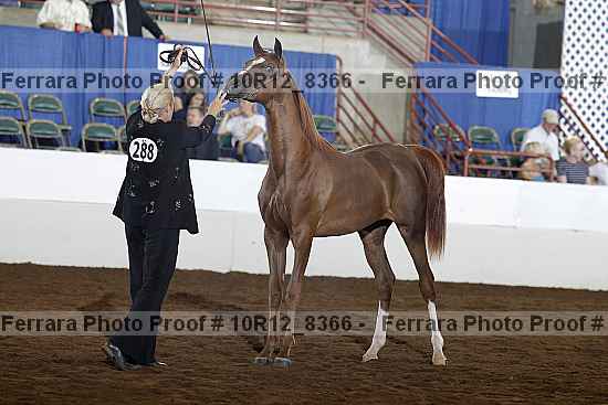 Proof 10r12_8366