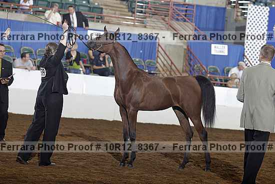 Proof 10r12_8367
