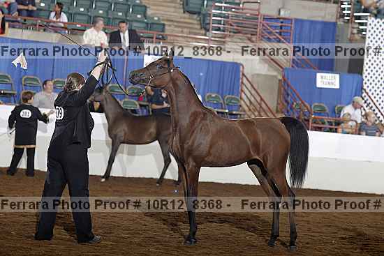Proof 10r12_8368