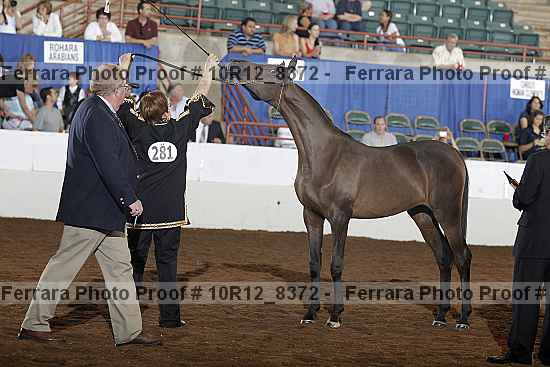Proof 10r12_8372