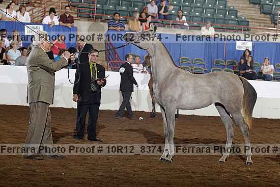 Proof 10r12_8374