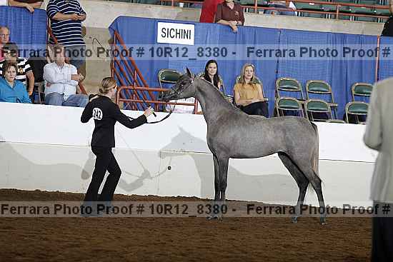 Proof 10r12_8380