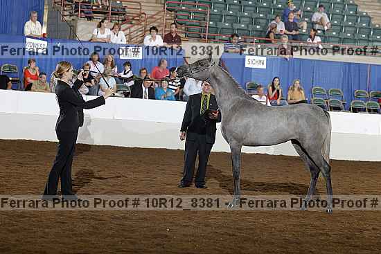 Proof 10r12_8381