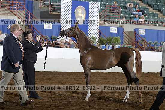 Proof 10r12_8382