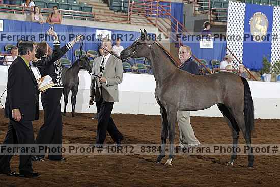 Proof 10r12_8384