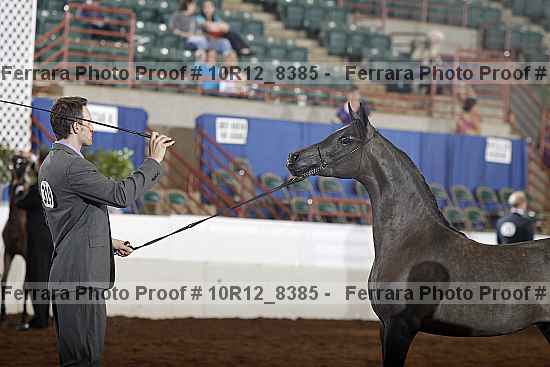Proof 10r12_8385