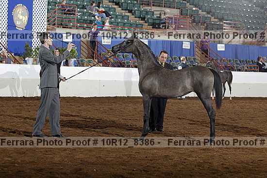 Proof 10r12_8386