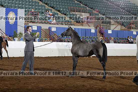 Proof 10r12_8387