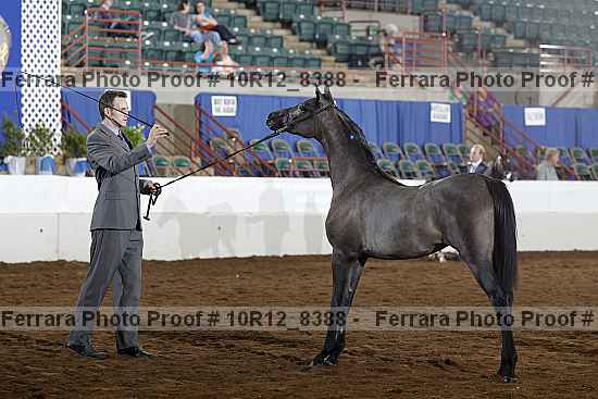 Proof 10r12_8388