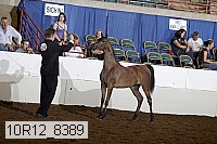 10r12_8389 proof