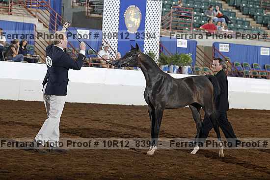 Proof 10r12_8394