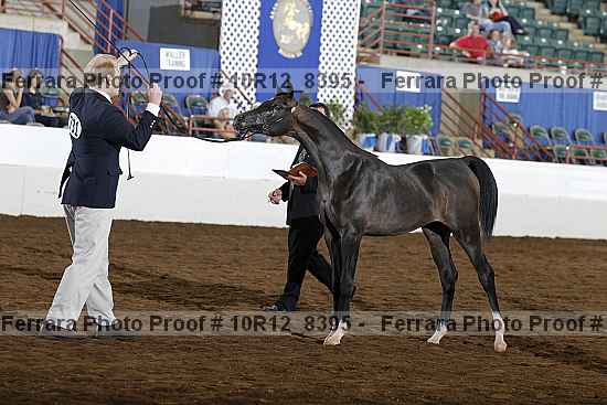Proof 10r12_8395
