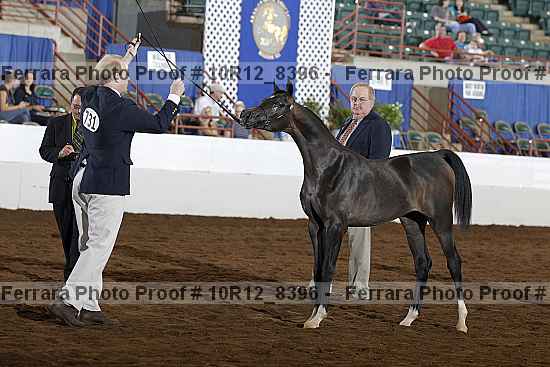 Proof 10r12_8396