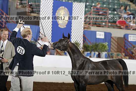 Proof 10r12_8397