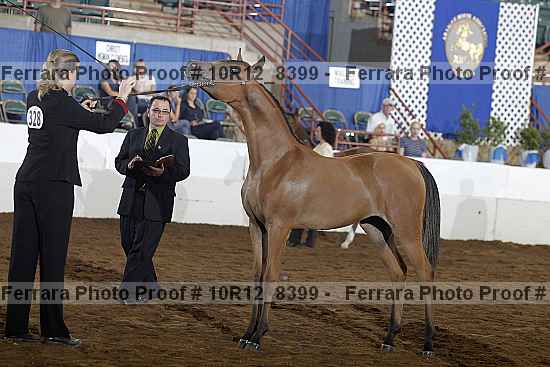 Proof 10r12_8399
