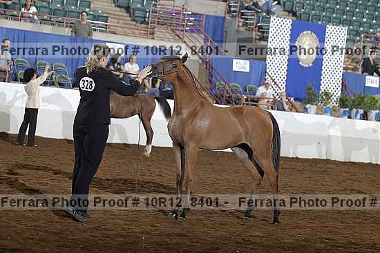 Proof 10r12_8401