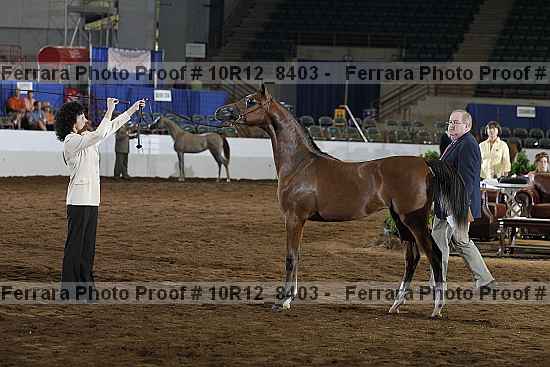 Proof 10r12_8403