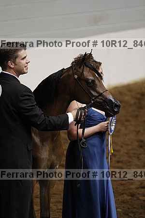 Proof 10r12_8406
