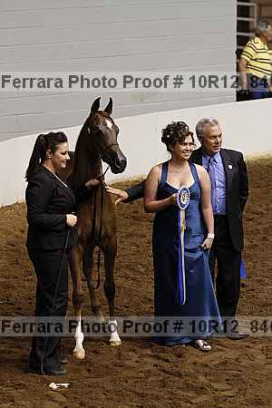 Proof 10r12_8407