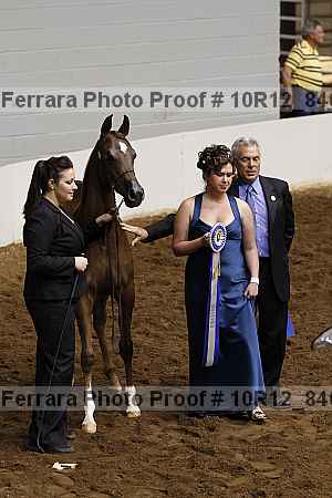Proof 10r12_8408