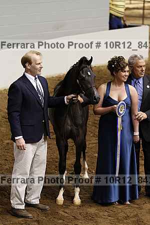 Proof 10r12_8427