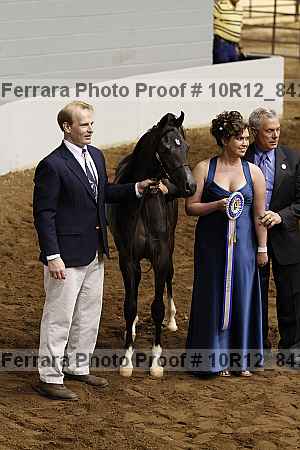 Proof 10r12_8428