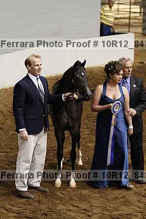 Proof 10r12_8430
