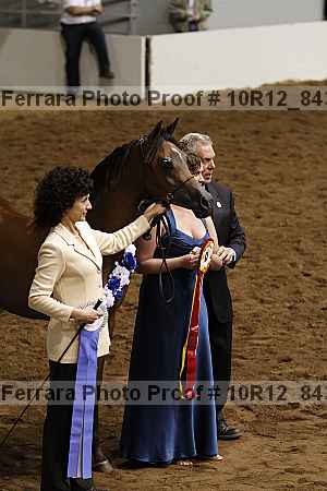 Proof 10r12_8431