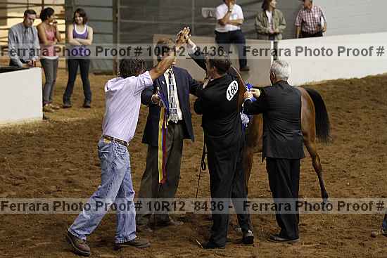 Proof 10r12_8436