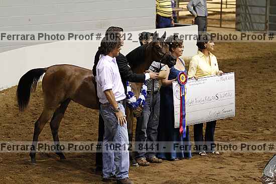 Proof 10r12_8441