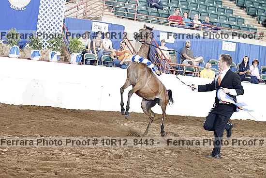 Proof 10r12_8443