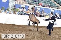 10r12_8443 proof