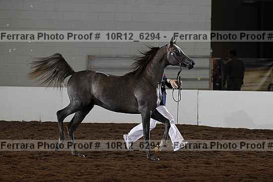 Proof 10r12_6294