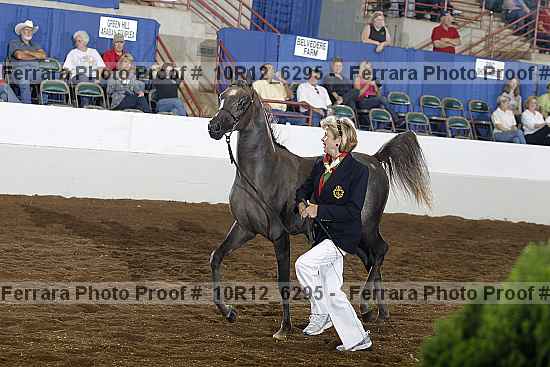 Proof 10r12_6295